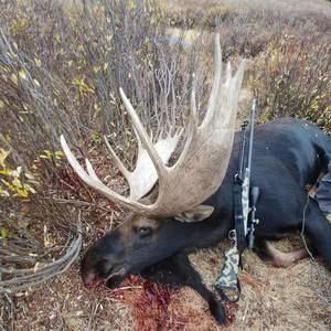 Meet your Posher, Lelan